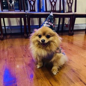 Meet your Posher, Mayra